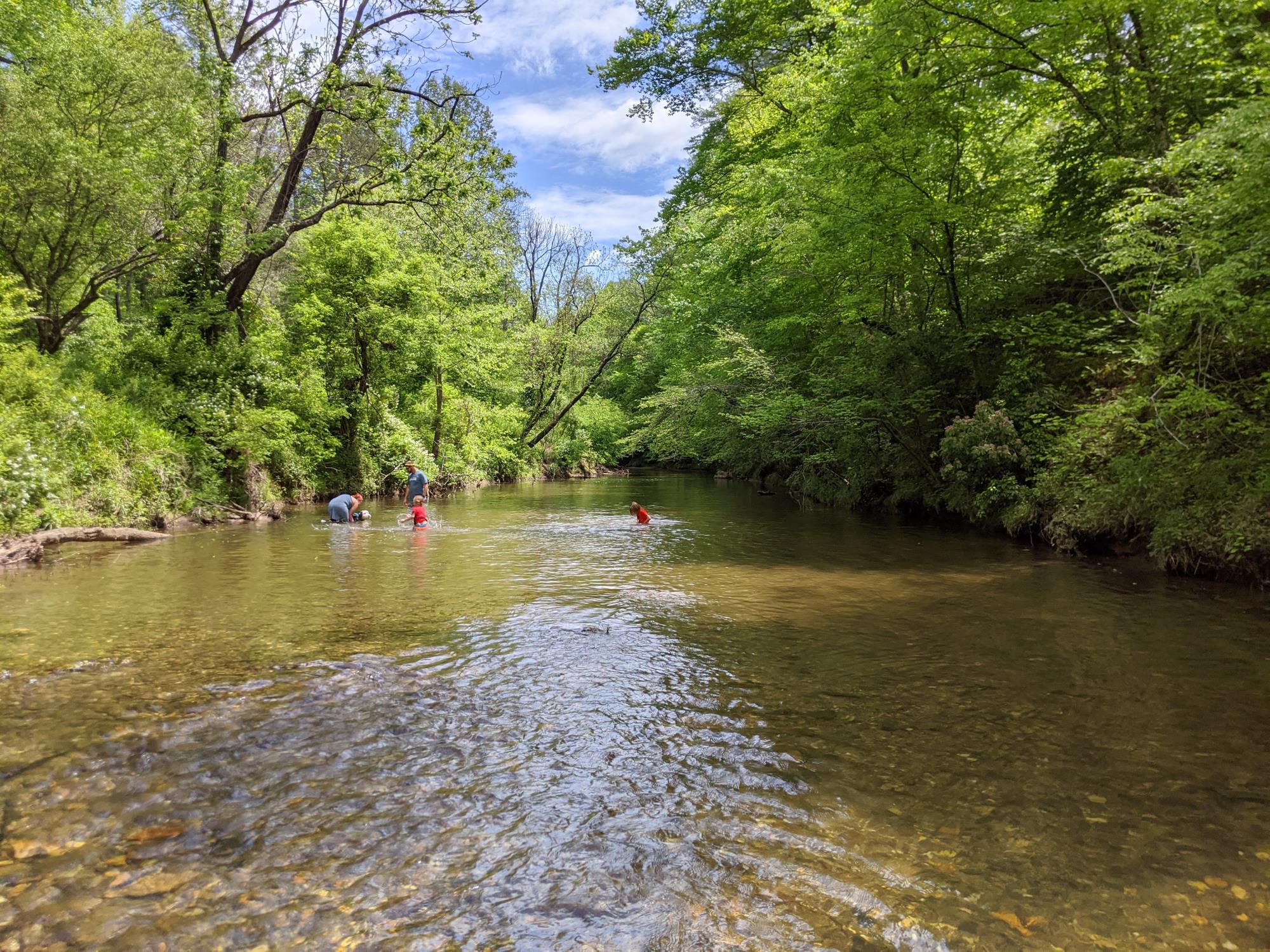 Buck Mtn Creek