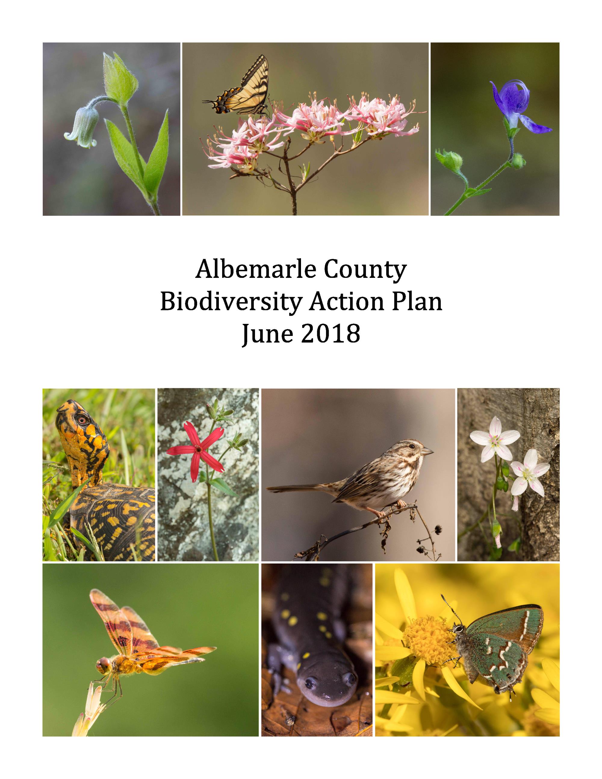 Biodiversity Action Plan Cover Image