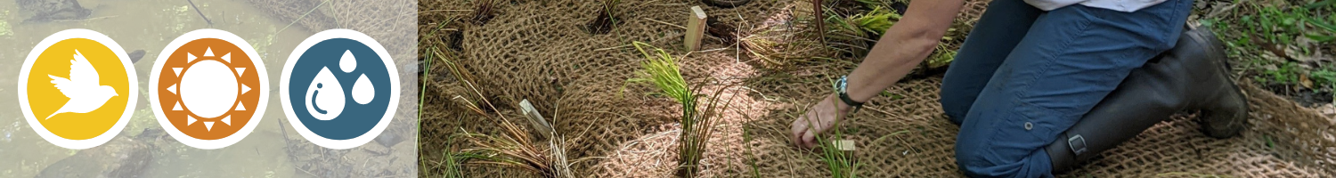 What You Can Do On Your Land - Plant a Stream Buffer