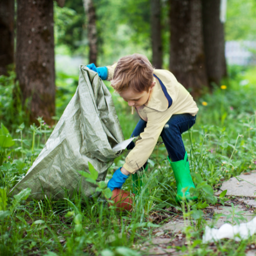 Stewardship Hub Button - In Your Community