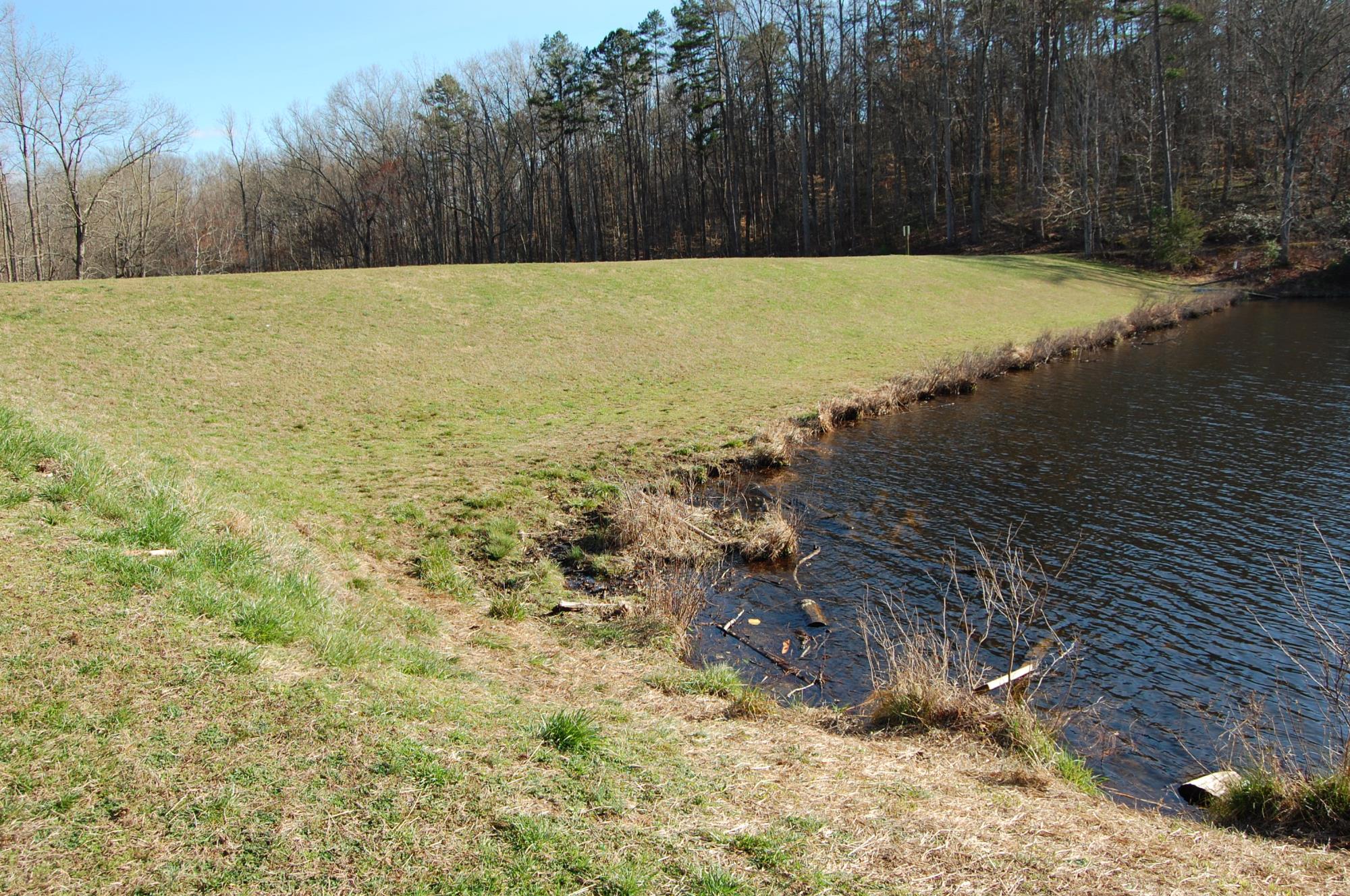 Earthen Dam