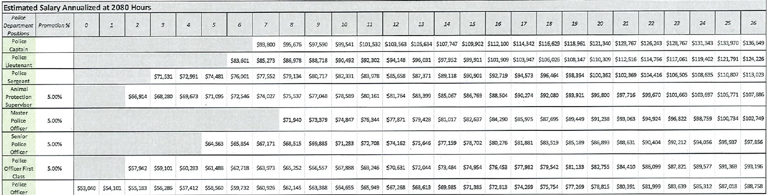 Pay Scale Salary Picture